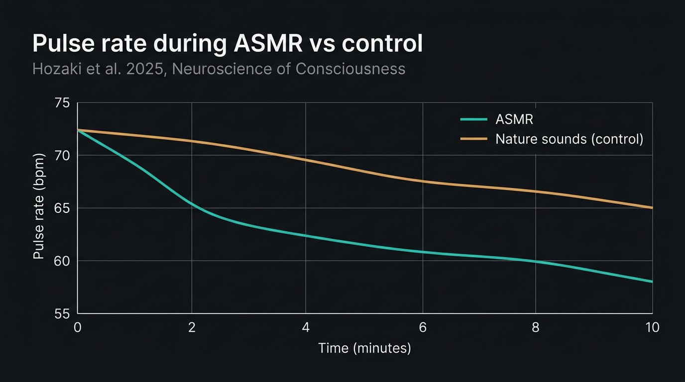 Line chart showing pulse rate over 10 minutes. Both ASMR and nature-sound conditions show a decrease, but the ASMR line drops further and faster, matching the Hozaki et al. 2025 finding.